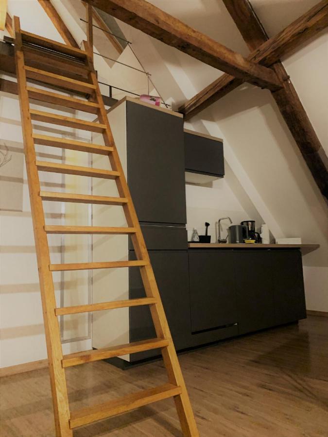 Lemperdenkmal Muenster Apartment ภายนอก รูปภาพ