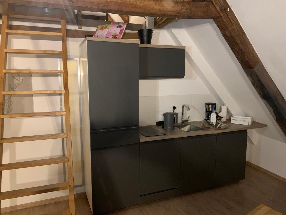 Lemperdenkmal Muenster Apartment ภายนอก รูปภาพ