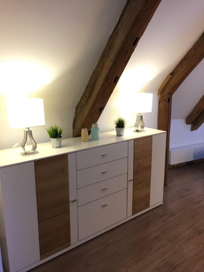 Lemperdenkmal Muenster Apartment ภายนอก รูปภาพ